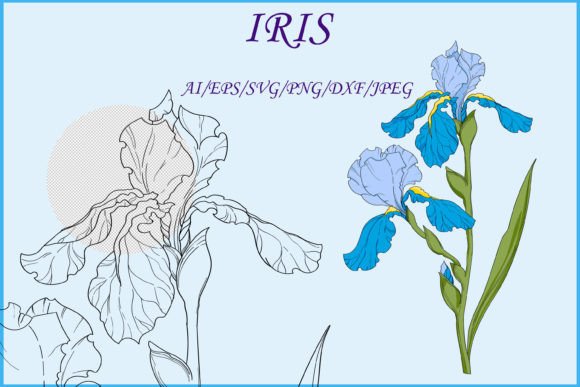 Bouquet of Iris Flowers: A Designer's Real-World Embroidery Review