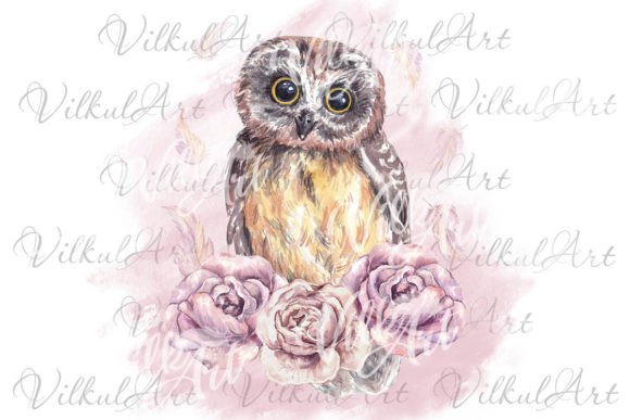Cute Animal Owl Png Watercolor Clipart Graphics & Illustrations