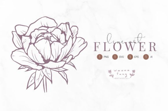 Line Art Botanical Flower Clipart, SVG for Graphics & Illustrations