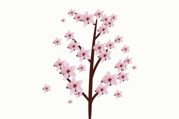 Watercolor Cherry Blossom Vector Floral Graphics