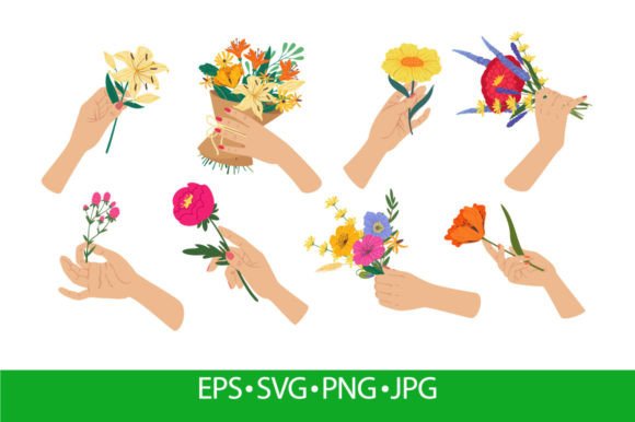 Woman Hand Holding Flower Bouquet Graphics for Illustrations